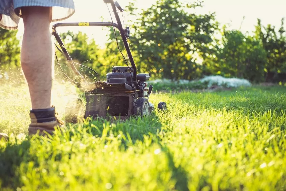 building a sustainable future with horticulture waste management