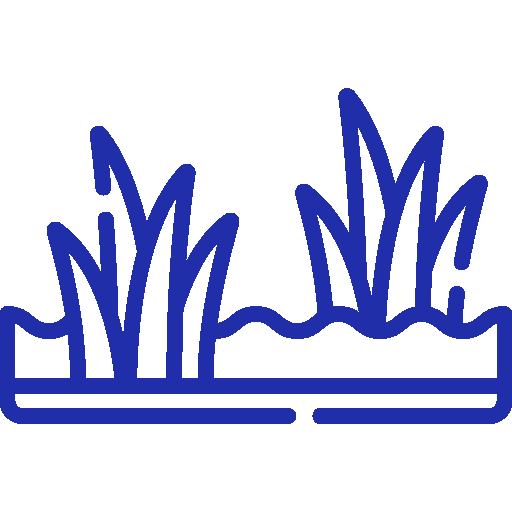 Grass Icon