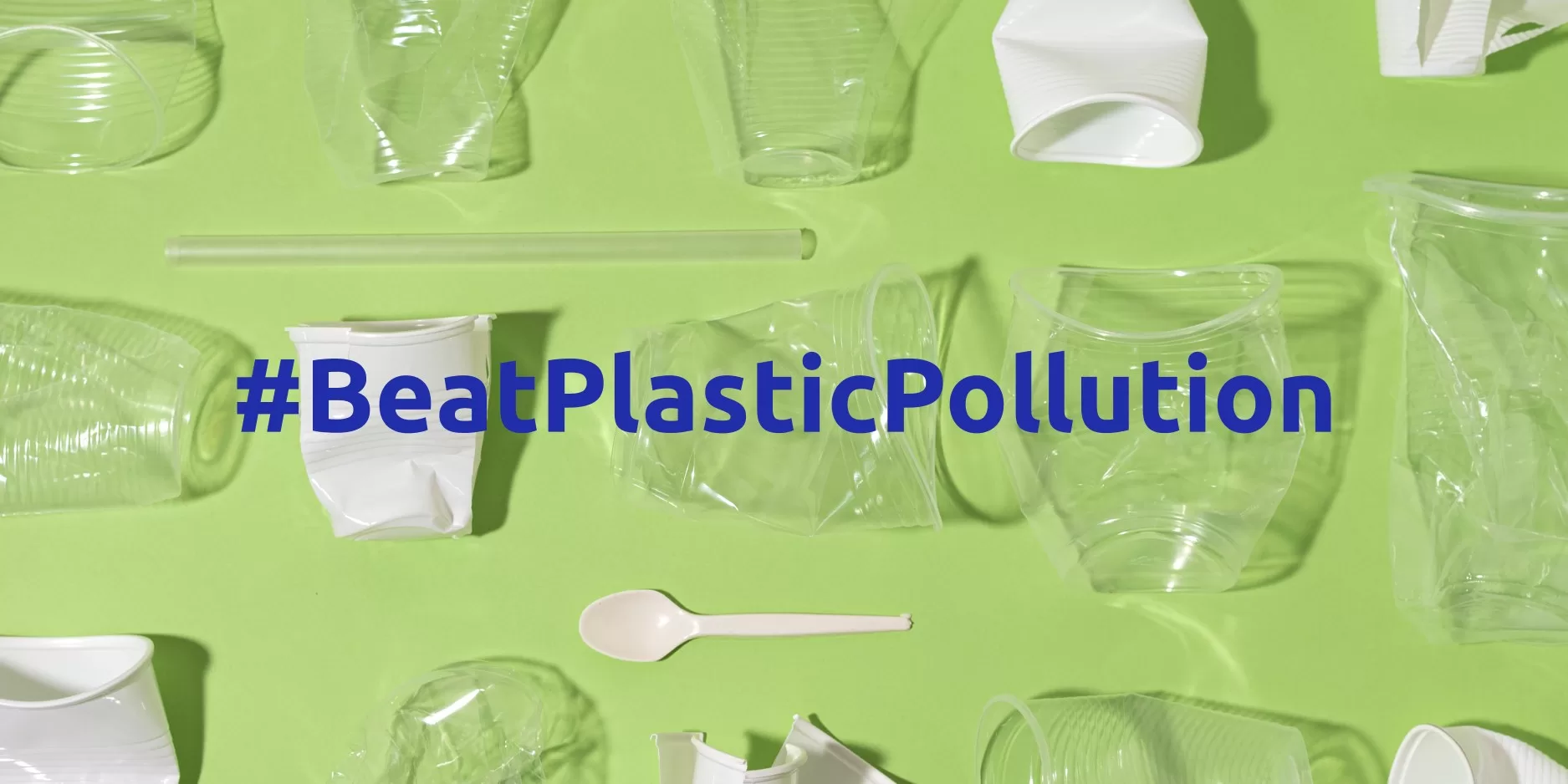 #beatplasticpollution cover
