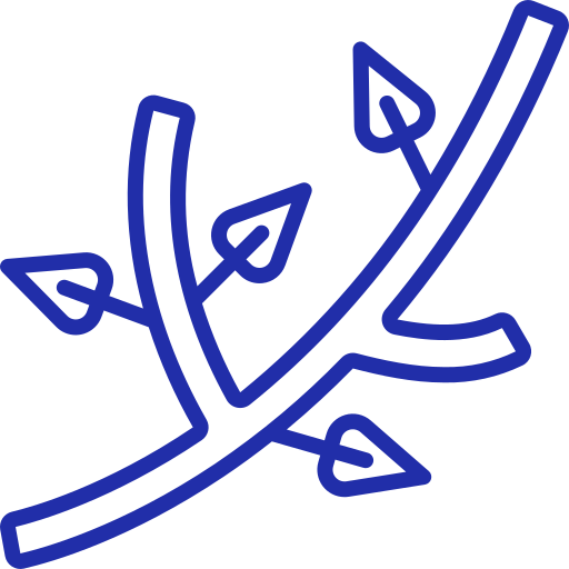 branch