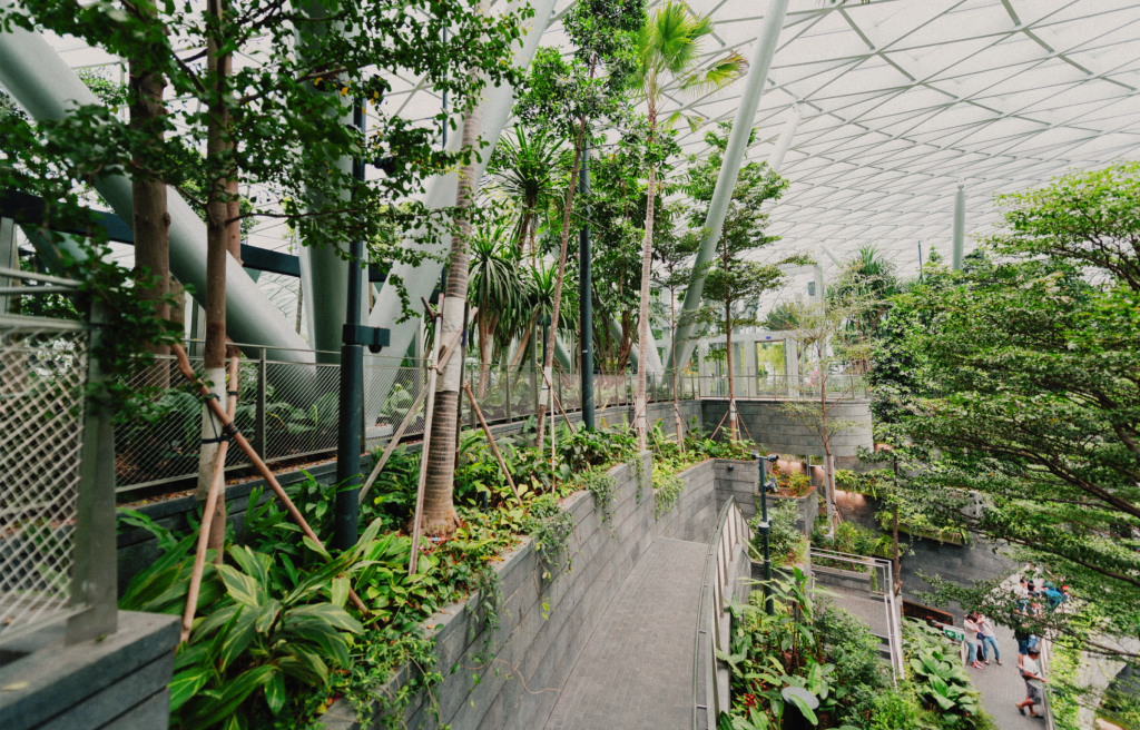 Indoor landscaped green space in a sustainable commercial building with plants, trees and walkway